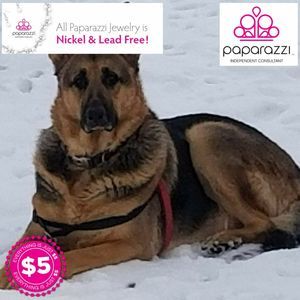 Meet your Posher, Lynnette